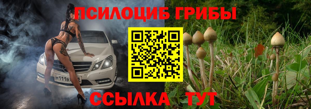 Строитель  Галлюциногенные грибы ЛСД  Вход с VPN 